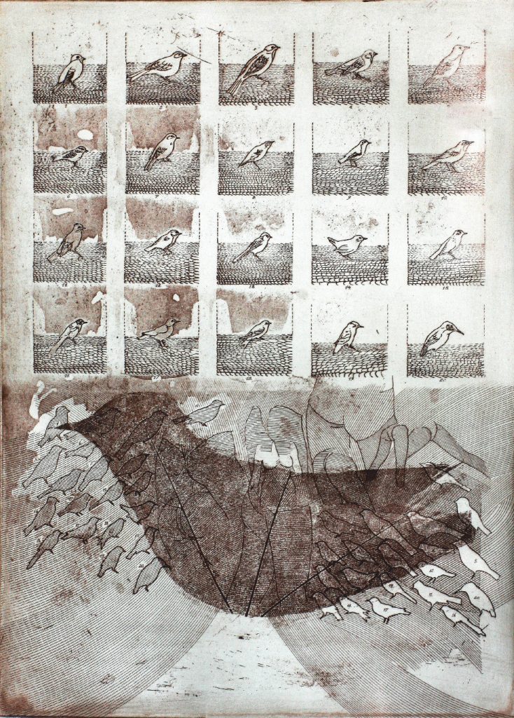 birddamen-et-aq-24x17-cm-1980-r